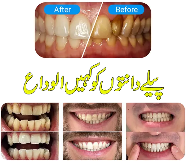 Oral Care Collection - Nobel Organics